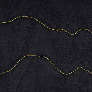phillip-jeffries-make-waves-wallpaper-8868-washi-black-with-gold