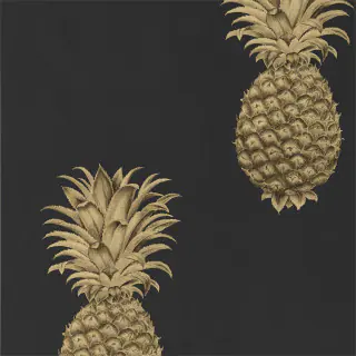 Pineapple Royale 216326
