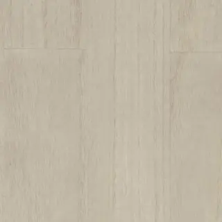 plank-mr-ap2-3099-driftwood-wallpaper-ajiro-maya-romanoff