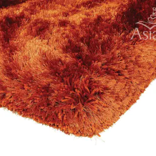 plush-rust-rugs-contemporary-home-asiatic-rug