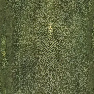 precieux-3326-04-vert-wallpaper-un-monde-parfait-jean-paul-gaultier