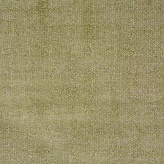 prestigious-textiles-bravo-fabric-7229-629-willow