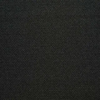prestigious-textiles-chiltern-fabric-2009-915-raven