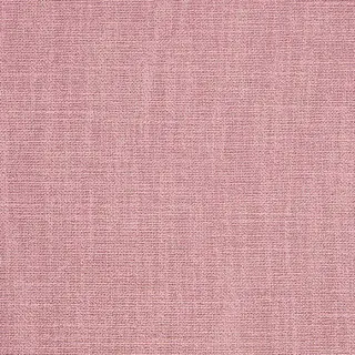 prestigious-textiles-whisp-fabric-7862-211-blossom