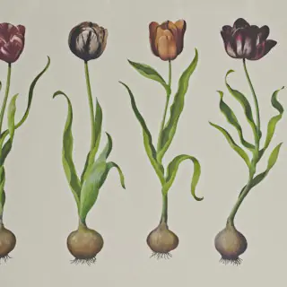 tulips-wallpaper-scholar-andrew-martin