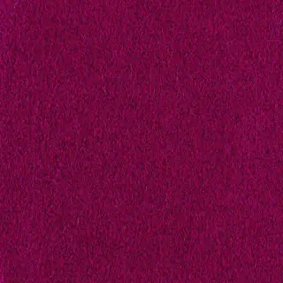 Purples and Pinks U7978-X873