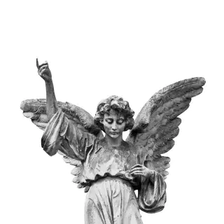 Angel R11731