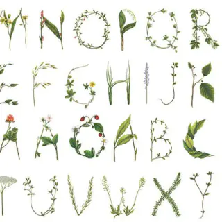 Floral Alphabet R13195