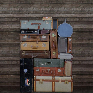 Stacked Suitcases R14063