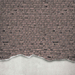 Well-Worn Brick Wall R12223