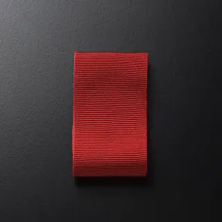 ribbon-pin008-007-trimmings-dedar