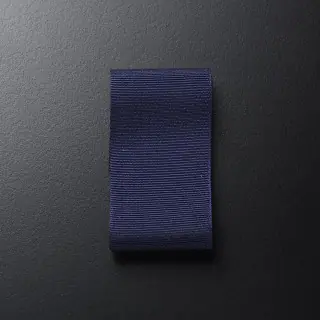 ribbon-pin008-018-trimmings-dedar