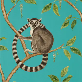 Ringtailed Lemur 216663