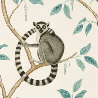 Ringtailed Lemur 216665