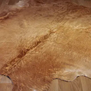 rodeo-cowhide-solid-beige-rugs-contemporary-home-asiatic-rug