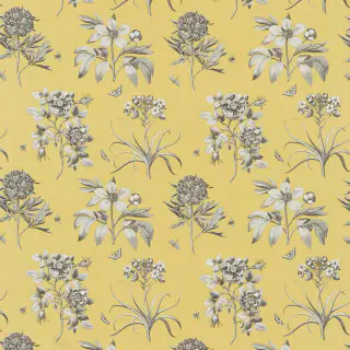sanderson-etchings-and-roses-fabric-dpfpet204-empire-yellow