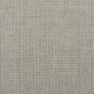serengeti-weave-6313-zanzibar-grey-wallpaper-phillip-jeffries.jpg