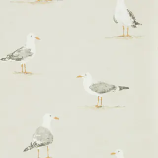Shore Birds 216563