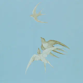 sanderson-swallows-wallpaper-dviwsw103-wedgwood