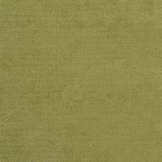 tarazona-fdg2919-18-pistachio-fabric-tarazona-designers-guild
