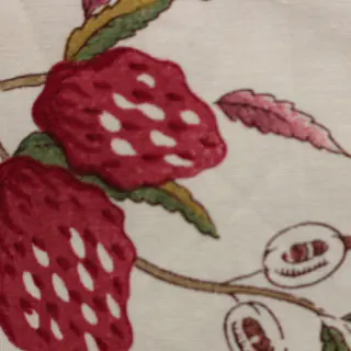 tassinari-and-chatel-fraises-sauvage-fabric-1619-01-red