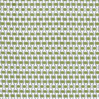 thibaut-denver-fabric-f914327-green-and-blue