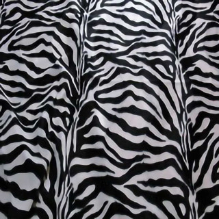 today-interiors-wild-fabric-wf8121-optic-zebra