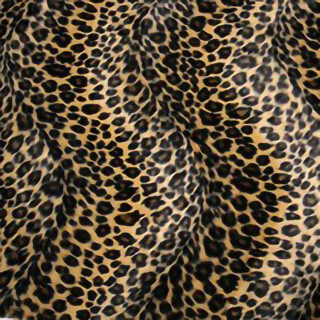 today-interiors-wild-fabric-wf8125-sand-leopard