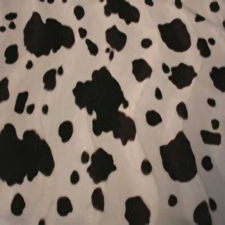 today-interiors-wild-fabric-wf8129-brown-cow