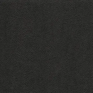 vinyl-fauxy-leather-burlesque-black-7662-wallpaper-phillip-jeffries.jpg