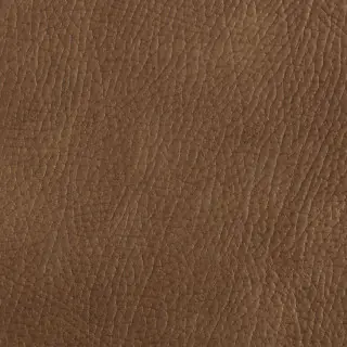 weitzner-clubhouse-fabric-t1072-02-palomino