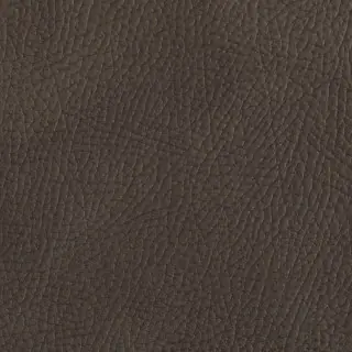 weitzner-clubhouse-fabric-t1072-03-charcoal