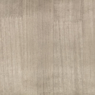 zinc-paulownia-wallpaper-zw148-02-silver-grey