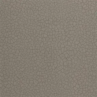 cracked-earth-312834-gobi-wallpaper-oblique-zoffany