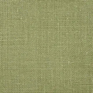 fabric-aalter-sage-f1963-03-moselle-vegetale-designers-guild