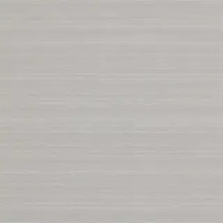 raw-silk-312841-silver-birch-wallpaper-oblique-zoffany