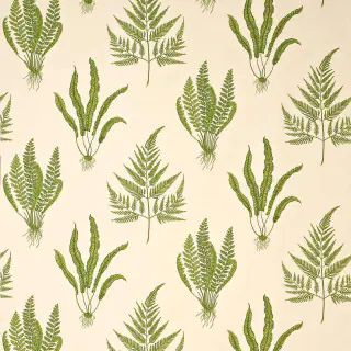 sanderson-woodland-ferns-fabric-dapgwo202-green