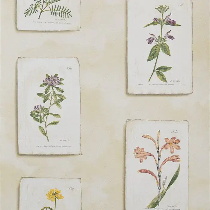 Curtis Botanical Wallpaper by Lewis & Wood